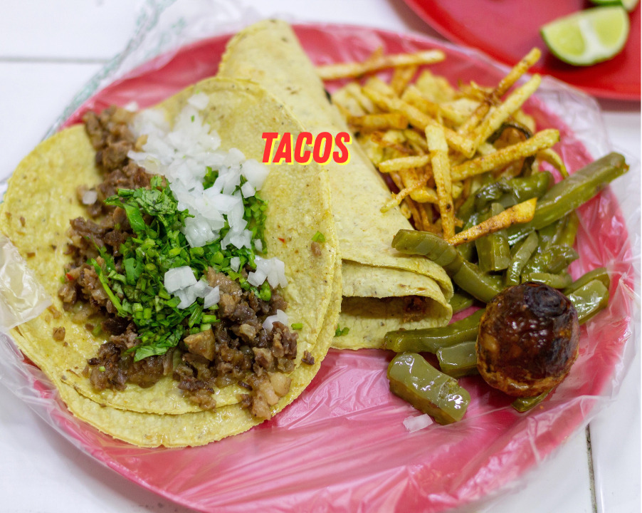 トルティーヤの世界 ~ ひとくち目から始まる本場メキシコへの旅